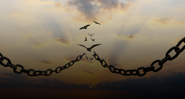 How to Break Free from Your Mental Cage and Unlock Your True Potential